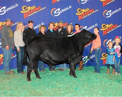 Champion Heavyweight Hereford 2019 Fort Worth