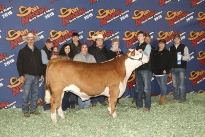 Champion Light Weight Hereford San Antonio Livestock Show