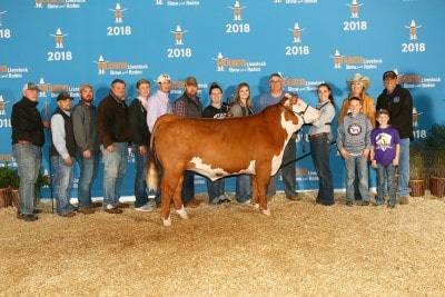 Jenny Pierce Champion Light Weight Hereford Housten Livestock Show