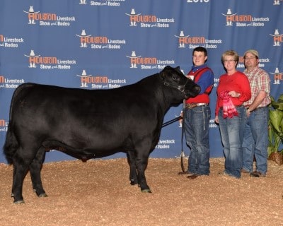 Peyton Herzog Reserve Heavy Weight Angus 2016 Houston Livestock Show