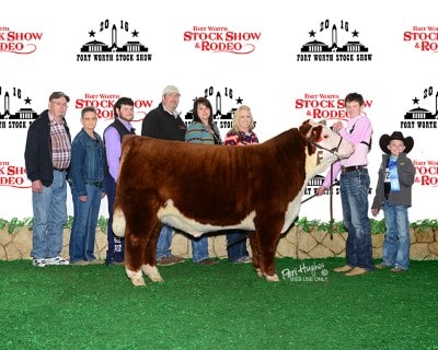 Collin Welper Champion Middle Weight Hereford 2016 Fort Worth