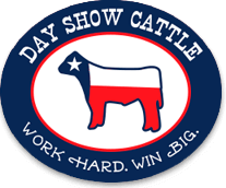 Day Show Cattle