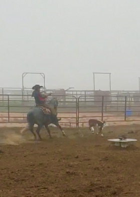 Colt D Senora
