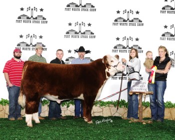 Reserve Champion Polled 2009 Ft. Worth