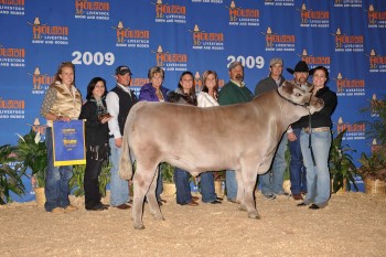 Champion Charolais 2009 Houston