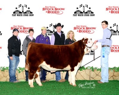 Key Lutrick Champion Light Weight Polled Hereford 2016 Fort Worth