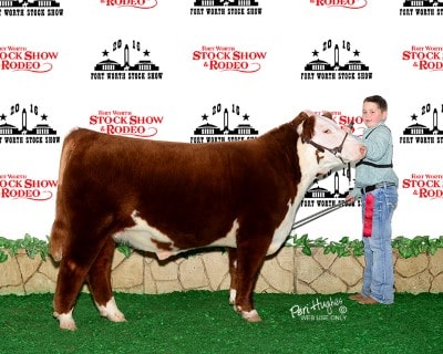 Nick Youngblood Reserve Champion Light Weight Hereford 2016 Fort Worth
