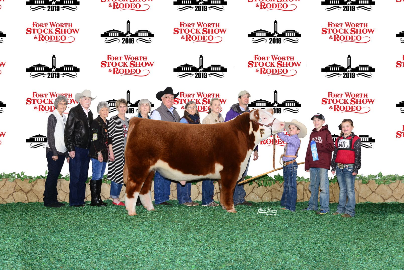 Champion Heavyweight Hereford 2019 Fort
                                Worth