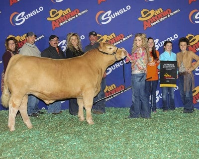 Kylie Patterson Reserve Champion Charolais 2016 San Antonio