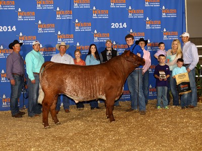 Bull “78”