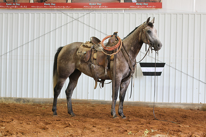 Colt Whata D Teaser,