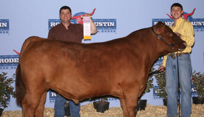 Reserve Champion Chi 2008 Star of Texas, Austin Grand Champion, Hale County