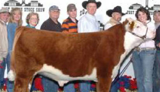 Reserve Champion Hereford 2006 Fort Worth