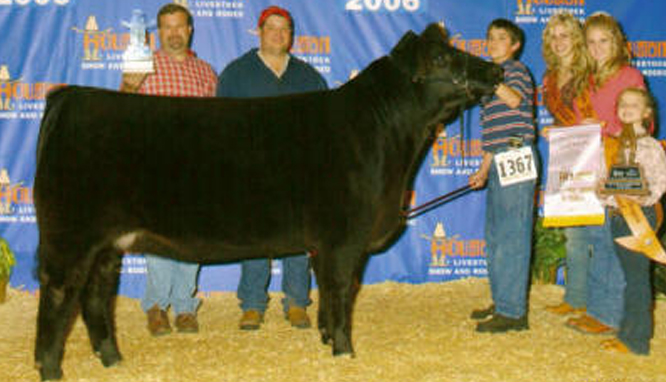 Reserve Junior Maine Heifer 2006 Houston