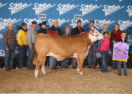 Champion Hereford San Antonio Stock Show