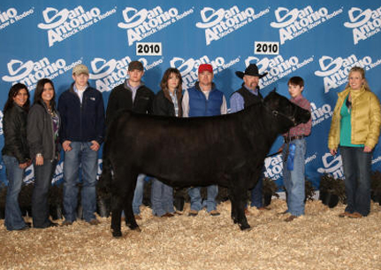 lass Winner Chianina San Antonio Stock Show