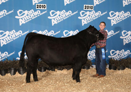 Class Winner AOB San Antonio Stock Show