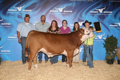 Reserve Champion British a.k.a. Champion Hereford Star of Texas