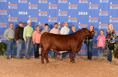 Macy Goodson Macy Goodson Reserve Champion Hereford 2014 Houston