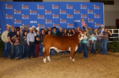 Macy Goodson Jaylee Poole Champion Light Weight Hereford 2014 Houston