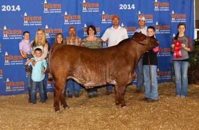 Macy Goodson Tate Hutchison Reserve Champion Heavy Weight Shorthorn 2014 Houston