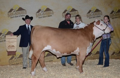 Macy Goodson Jacy Rowden Champion British 2014 San Angelo