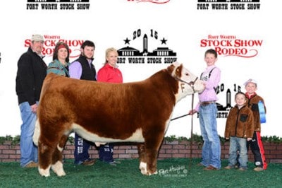 Collin Welper Champion Light Weight Polled Hereford 2015 Fort Worth