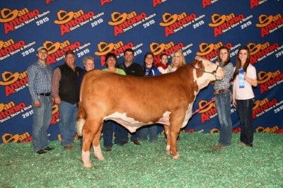 Julie Miller Champion Heavy Weight Hereford 2015 San Antonio