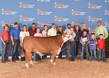 Swayzee Harlan Champion Light Polled Hereford Houston Livestock Show