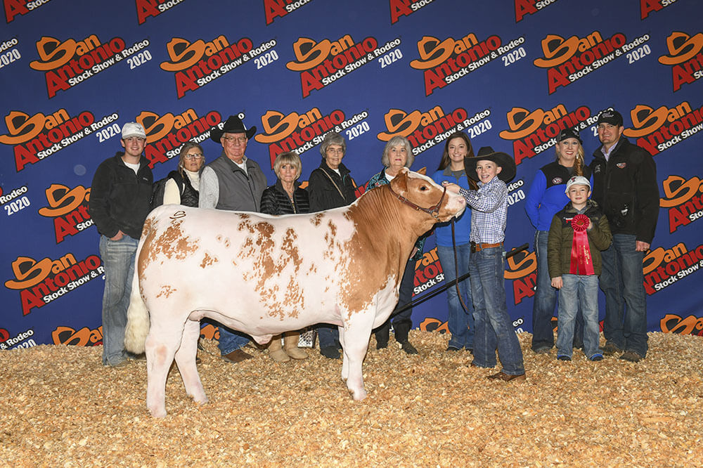 Reserve Light Simmental, 2020 San Antonio, Ryder Day