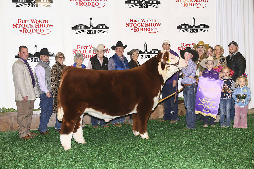 Grand Champion Steer, 2020 Fort Worth, Ryder Day