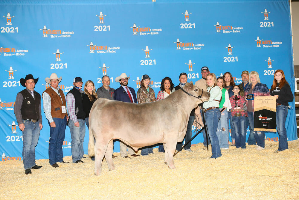 Grand Champion Steer, Scramble Show Wave 2, Abby Brewer