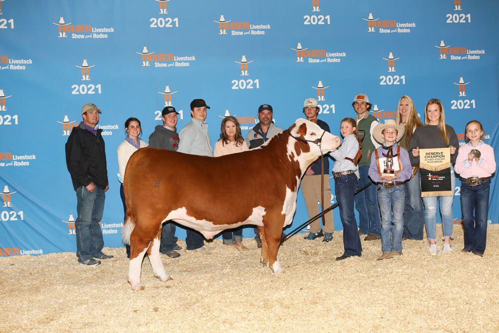 Reserve Champion Polled Hereford, Houston Livestock Show, Jerzee Harlan