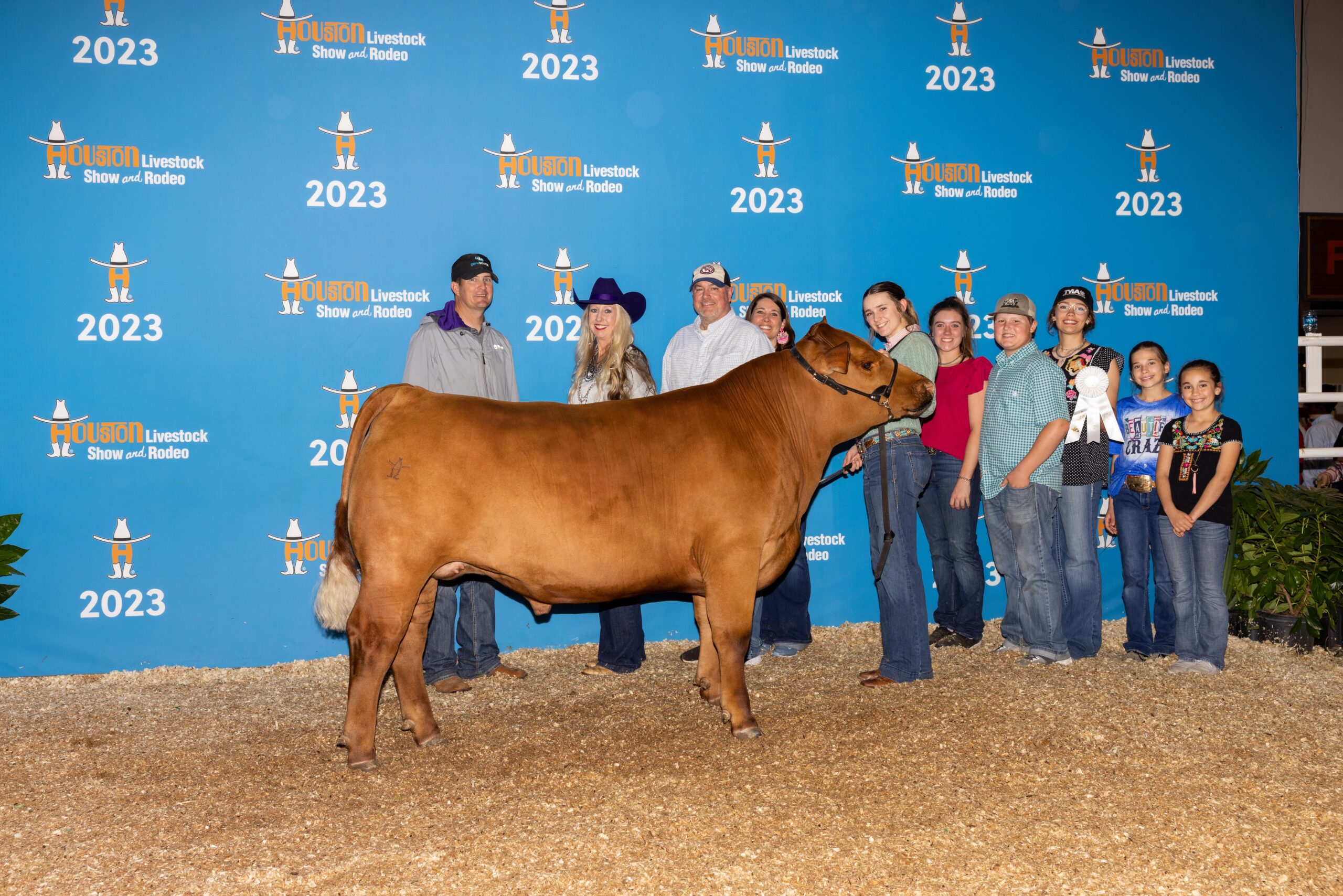 Wylie Red Angus