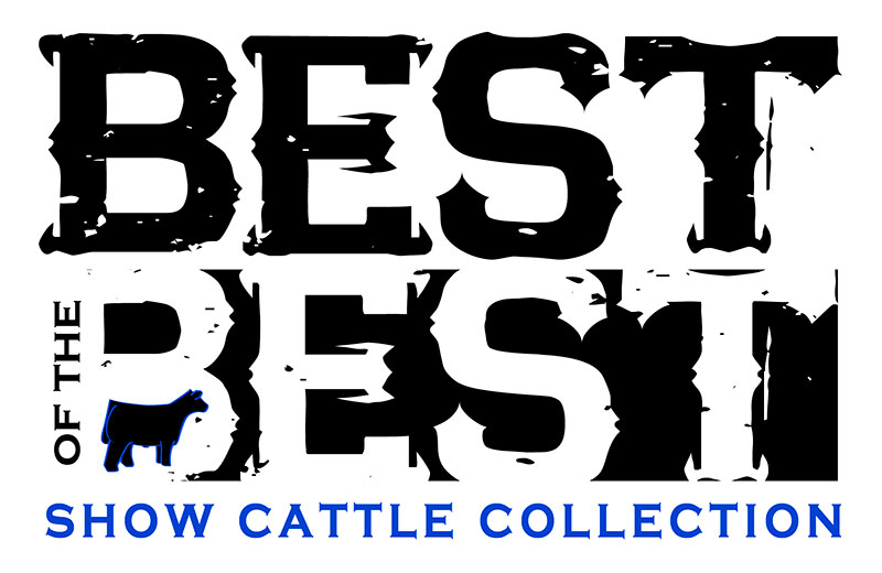 Best of The Best Show Cattle Collection