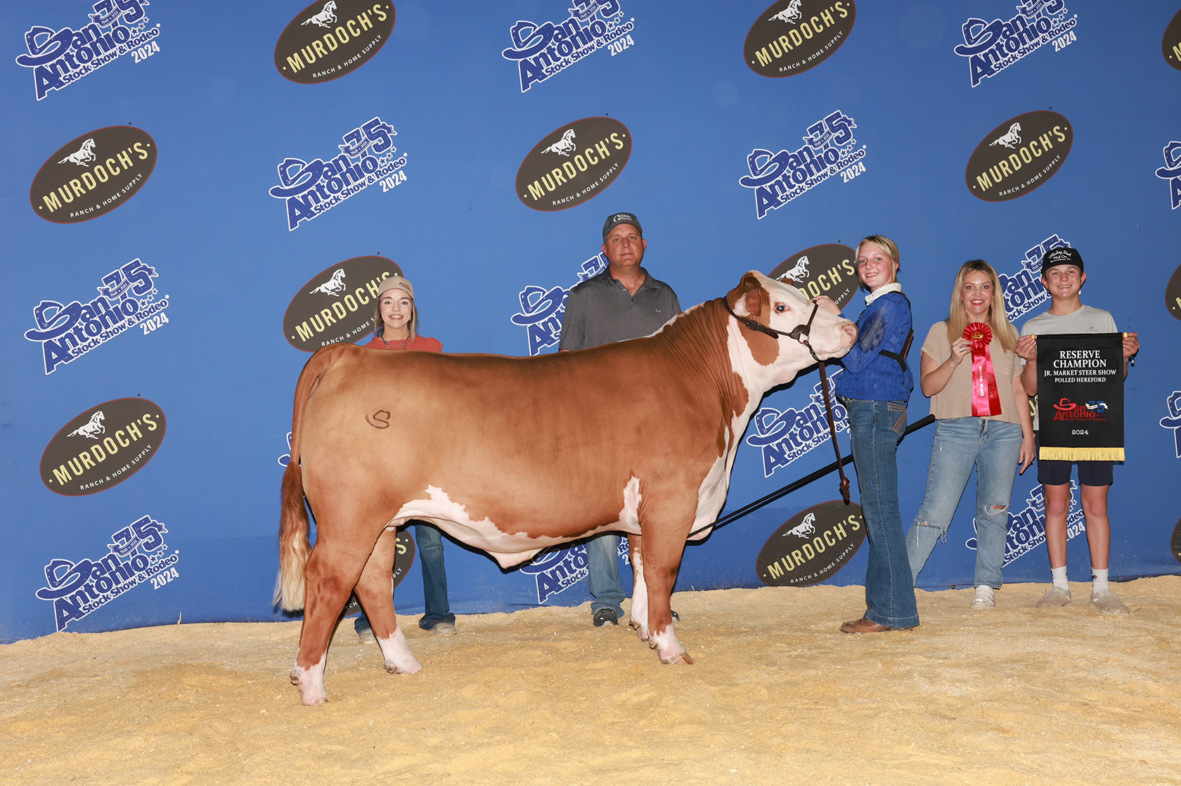 Reserve Champion Polled Hereford