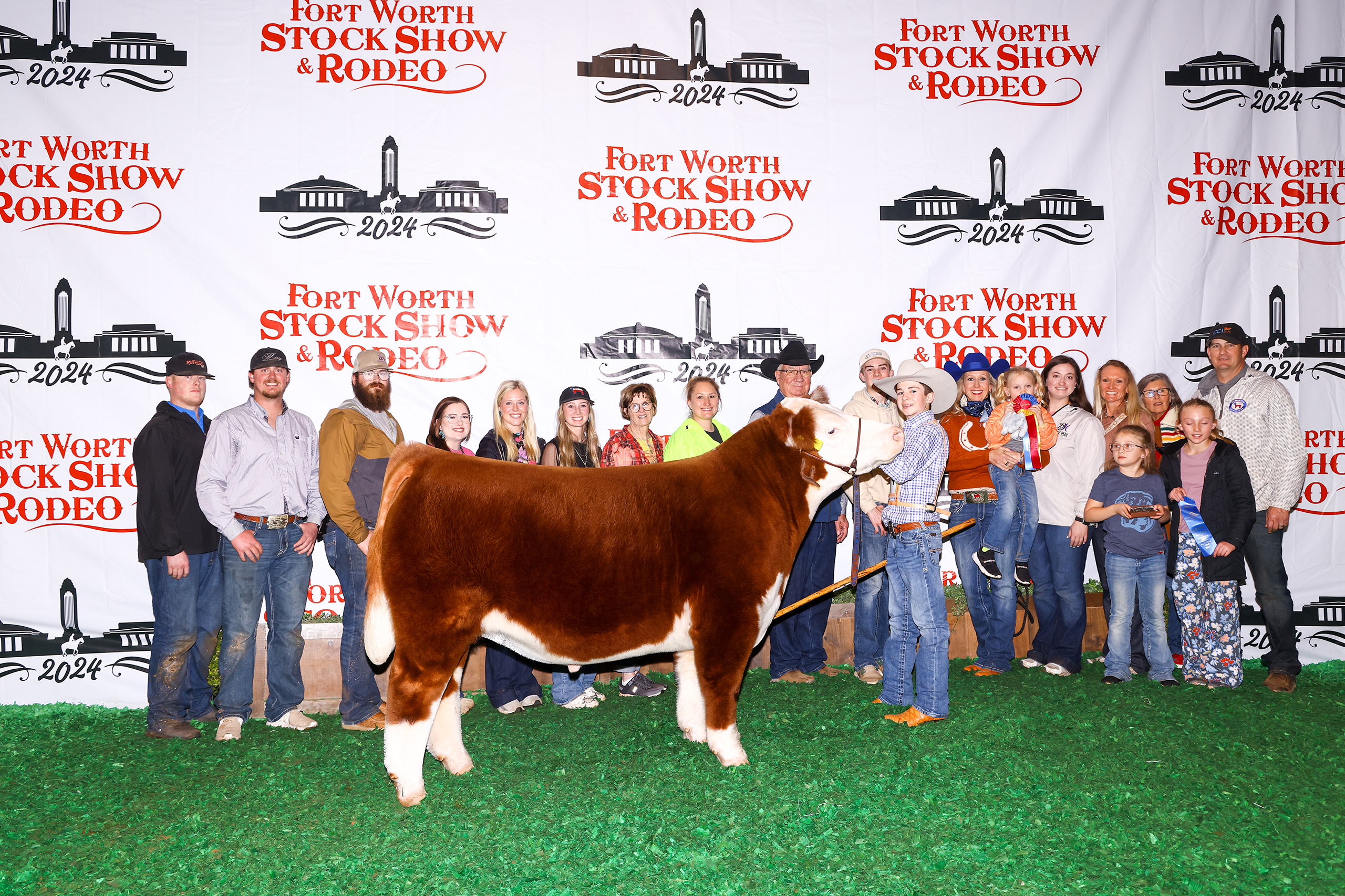 Champion Polled Hereford Steer