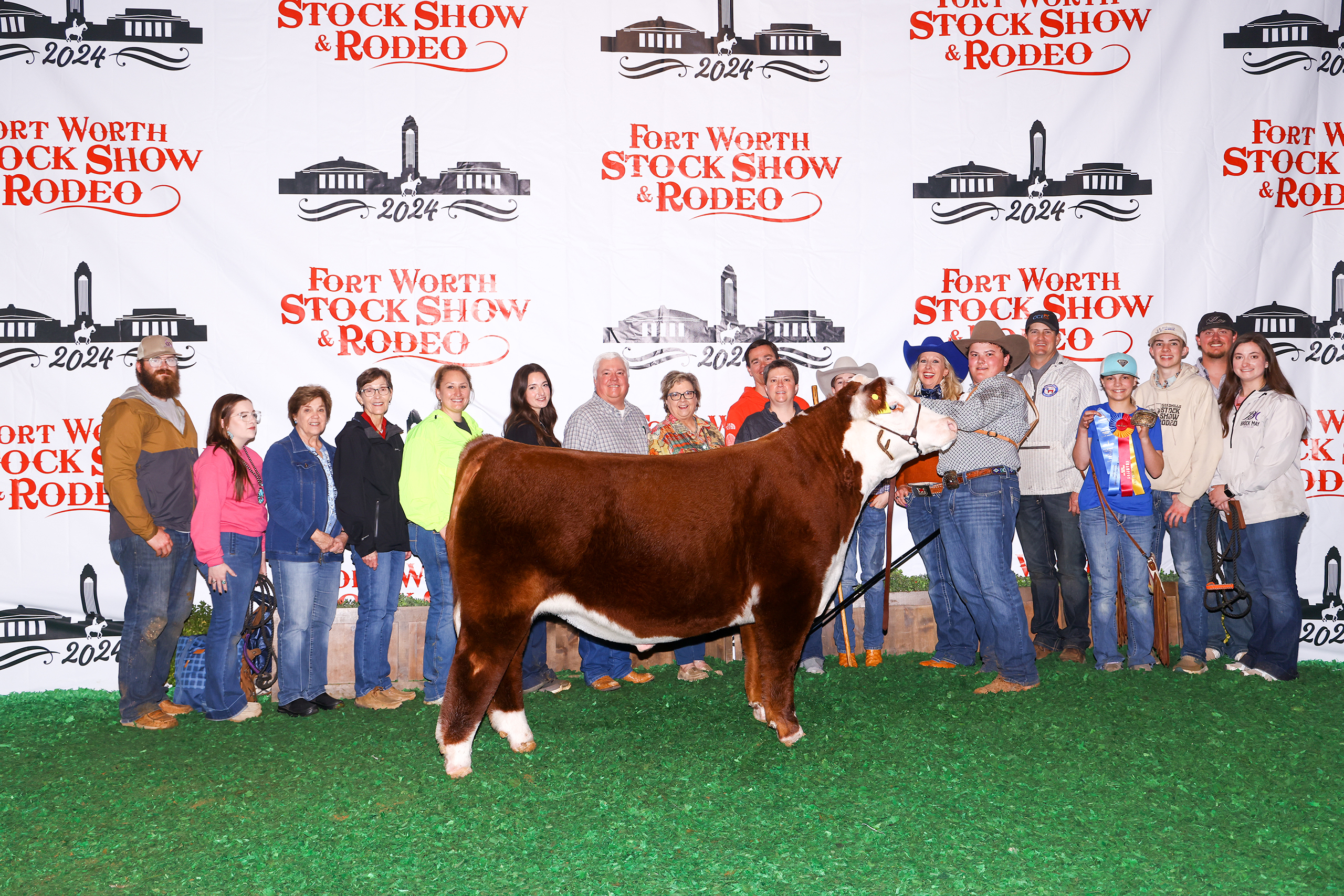 Champion Hereford Steer